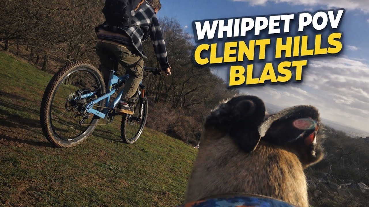 👉 I Tried To Keep Up With My Whippet on Clent Hills… 🐕⚡