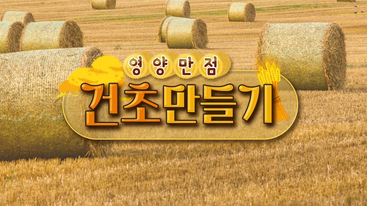 영양만점 건초 만들기