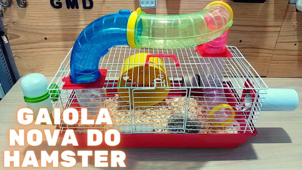 Gaiola Nova do meu Hamster Anão Russo / Não é do Tamanho Ideal Mas já é Muito Melhor do que a Antiga
