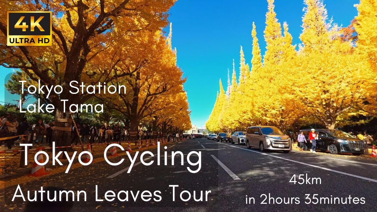 Tokyo Autumn Leaves Tour Cycling 4K POV - 45km ride from Tokyo Station to Lake Tama