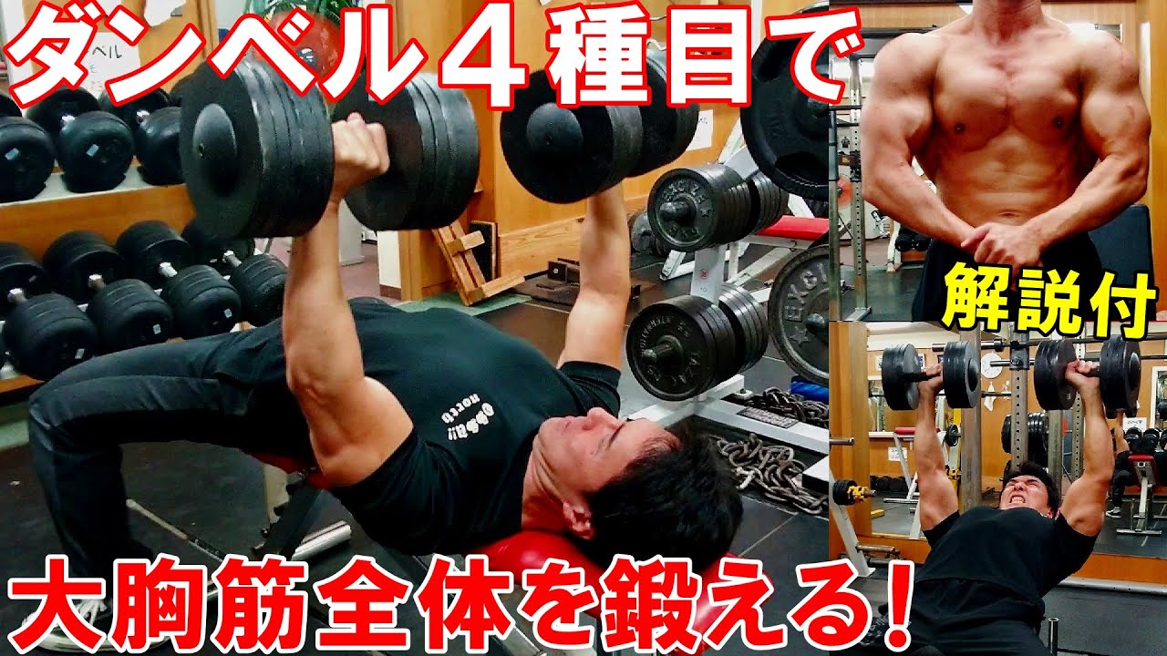 【筋トレ】ダンベルとベンチで大胸筋全体を鍛える4種目の胸のトレーニング【解説付】