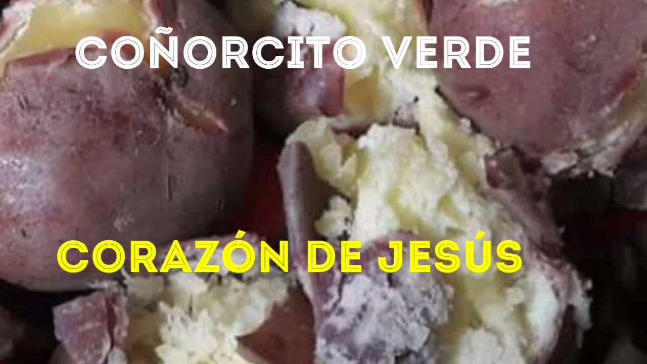 COÑORCITO VERDE : Corazon de Jesus de bambamarca.