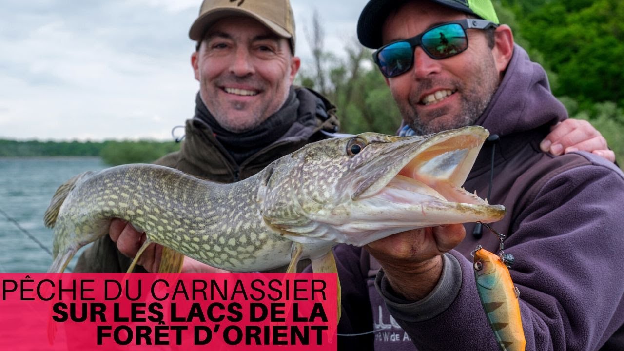 Pêche du carnassier sur les lacs de la Forêt d'Orient