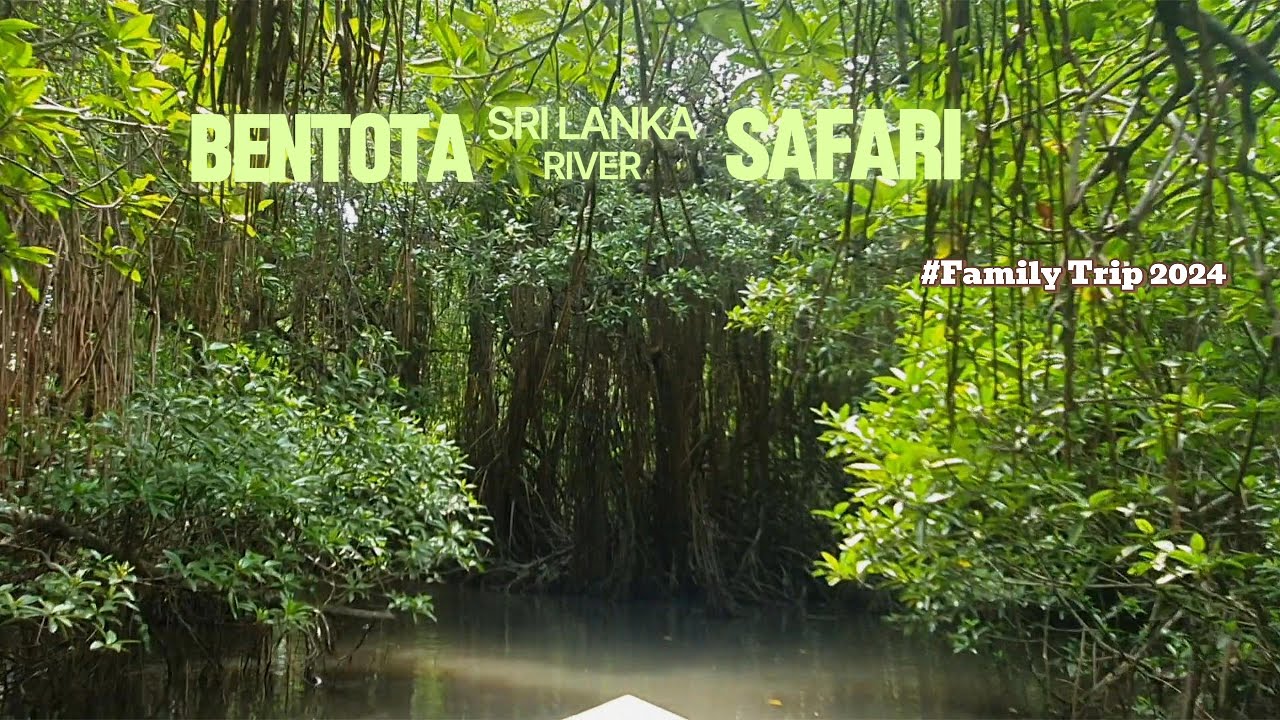 Bentota River Safari | Sri Lanka