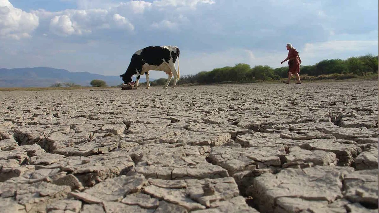 Desventajas del uso de Agroquímicos