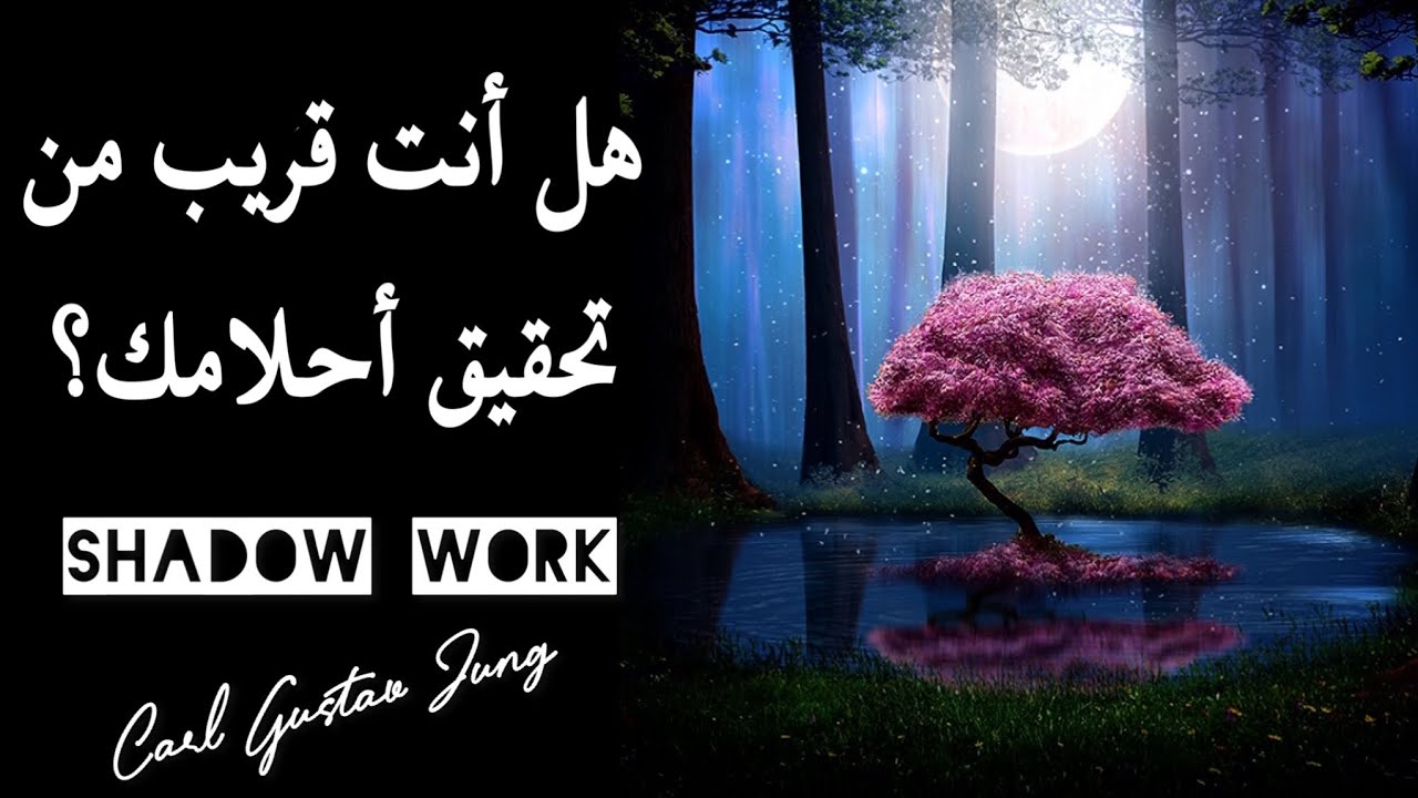 🌗 قراءة الجانب المظلم The Shadow Work 🌗 هل ستستطيع تحقيق أحلامك من خلال خطواتك الحالية؟ 👣🌟✨