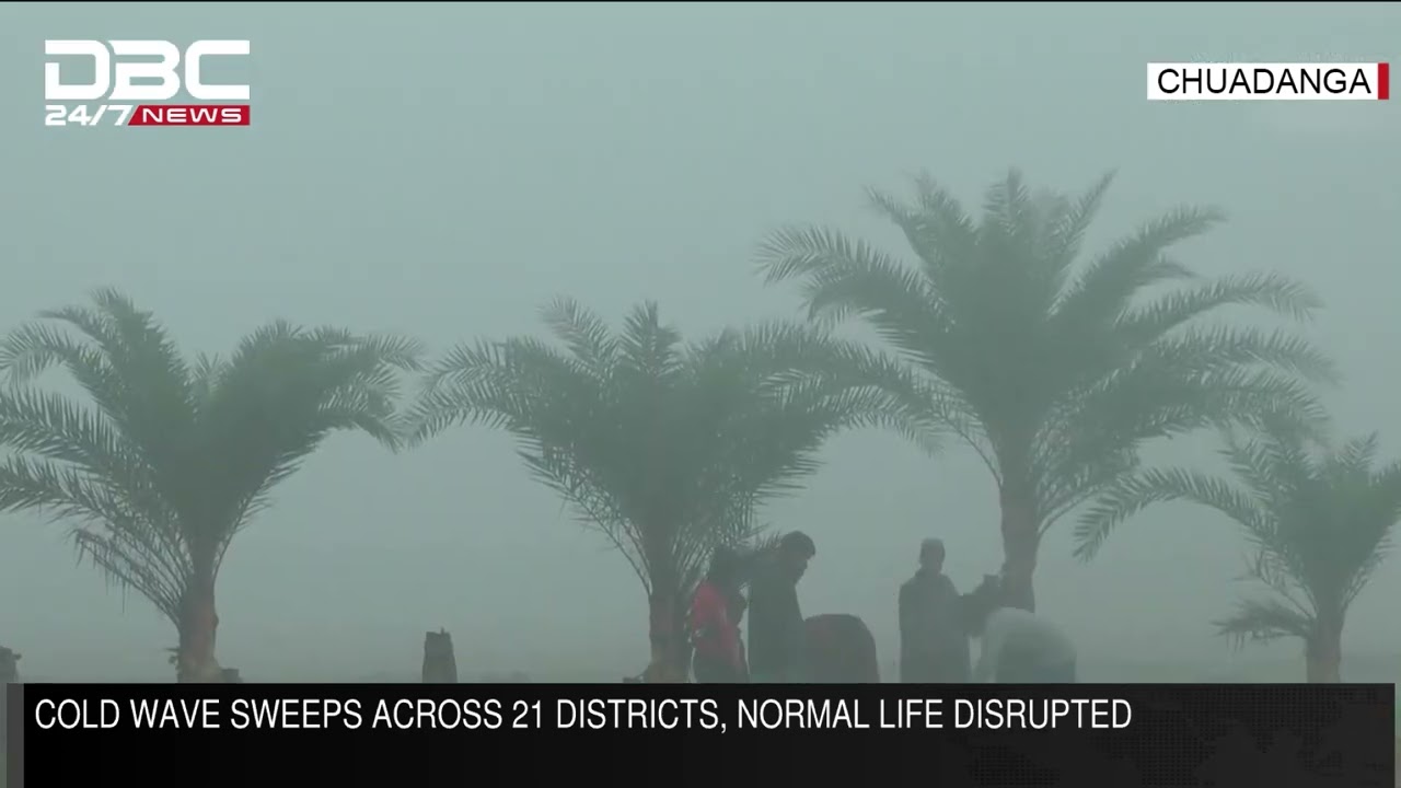Cold wave sweeps across 21 districts, normal life disrupted | DBC NEWS