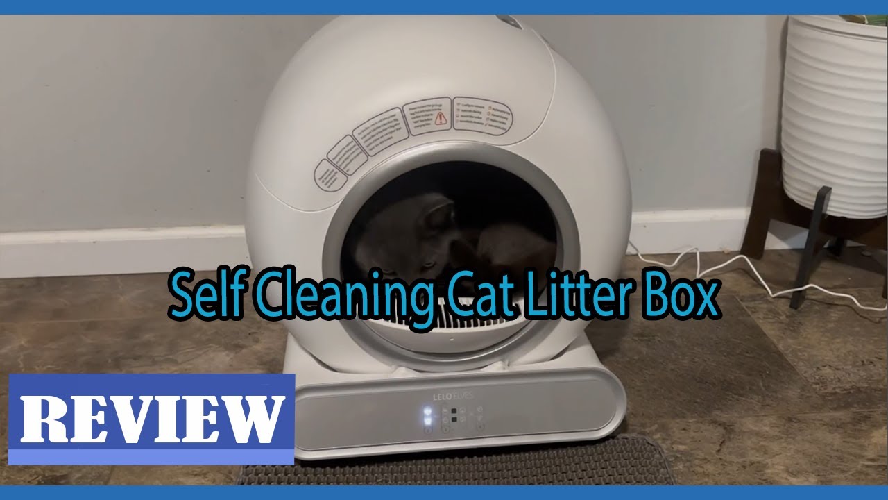 LELO ELVES Automatic Cat Litter Box Self Cleaning Review - A perfect solution to clean litter