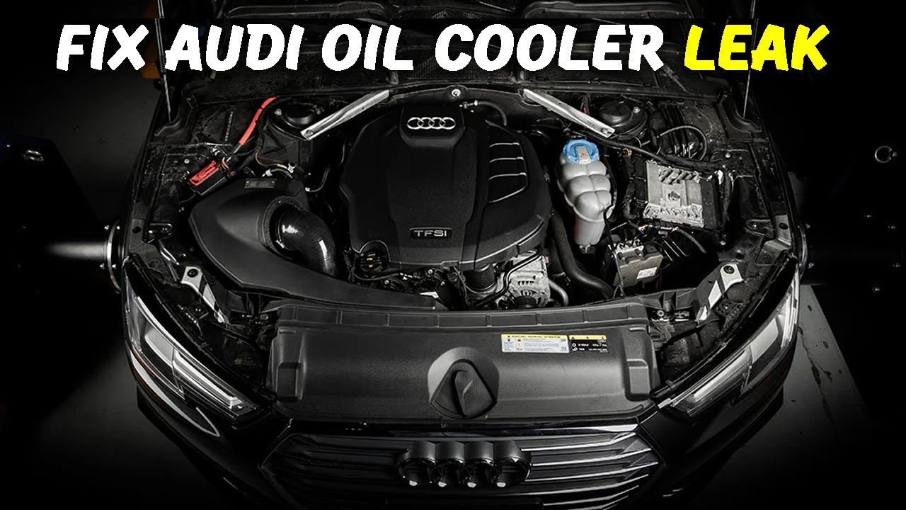 How to Remove Oil Cooler Housing for Audi Quattro A4 B9 (2017-2021) - The Easy Way! #a3 #a4 #q5 #b9