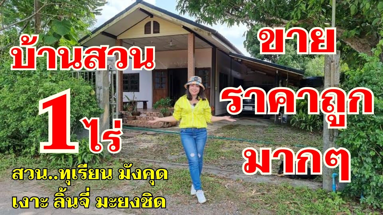 บ้านสวนน่าอยู่มากๆ 💢ถูกกว่านี้ไม่มีอีกแล้ว [EP.633]ผลไม้มีเพี๊ยบ ทุเรียน มังคุด ลิ้นจี่ มะยงชิด เงาะ