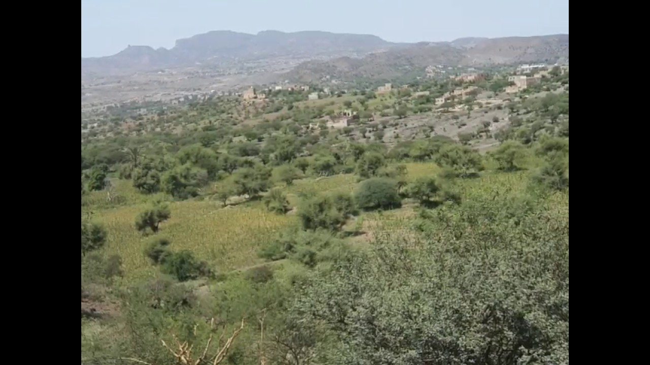 ربيع المقطري ،،،،دلى بقلبي ،،،،،،،،،