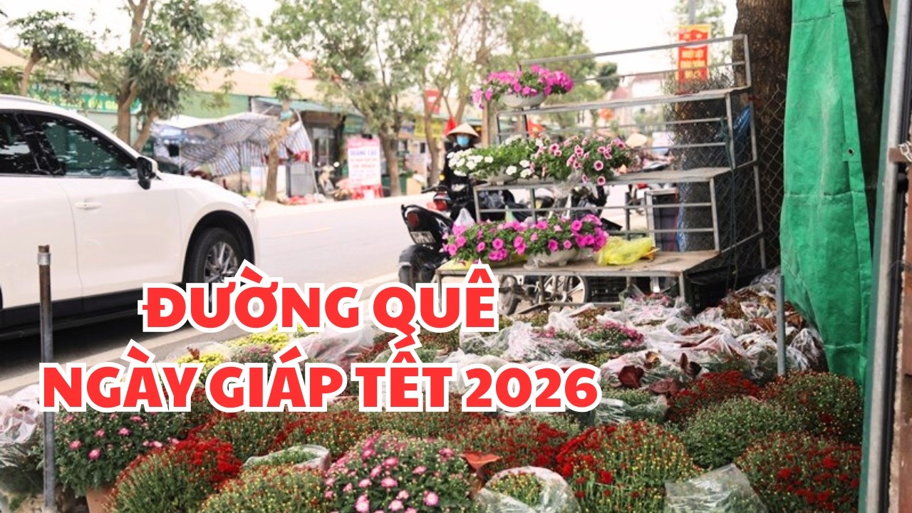 TẮM SUỐI NƯỚC NÓNG CHÁNH THẮNG - HOA RỰC ĐƯỜNG QUÊ NHỮNG NGÀY GIÁP TẾT 2026. #tranvanchanh #tet2026