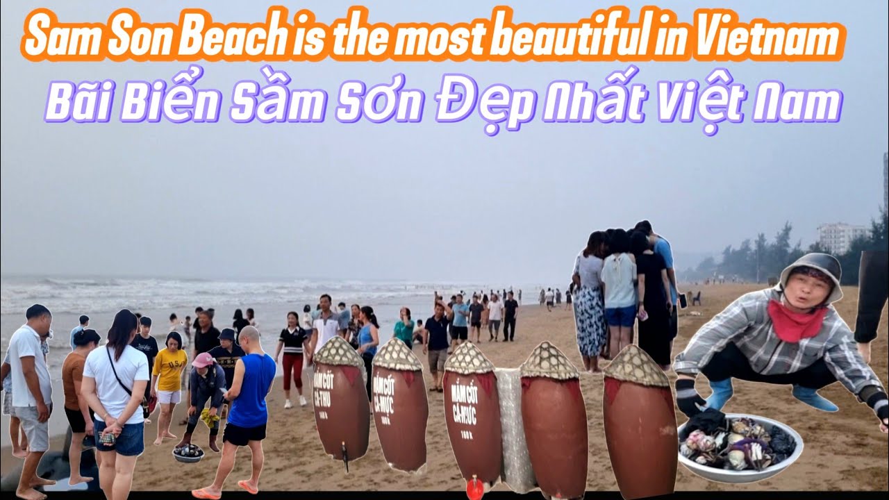 Biển Sầm Sơn Buổi sáng Và Tham Quan Làng Nghề Làm Mắm Mực Mắm Tôm /Sam Son Beach