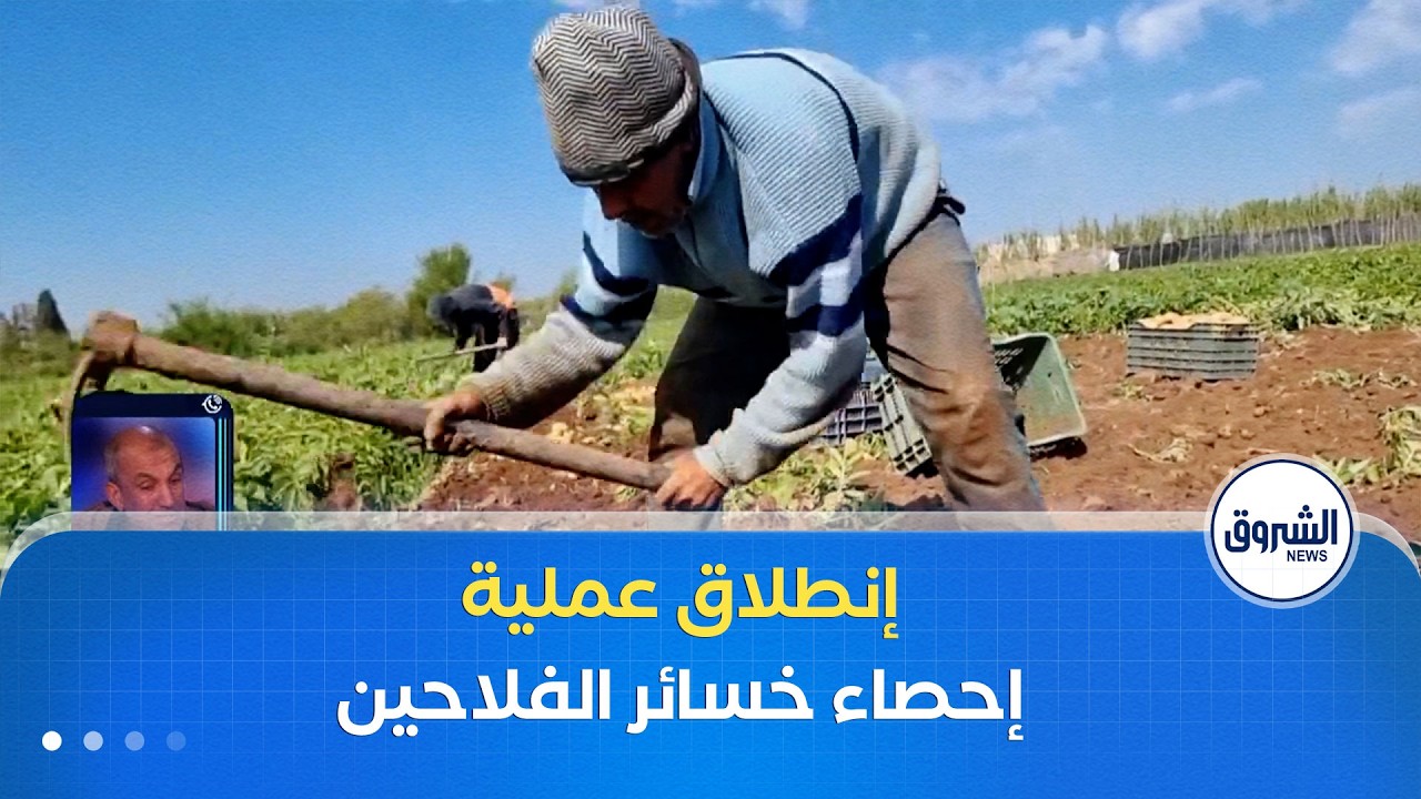 وزارة الفلاحة تتحرك..إنطلاق عملية إحصاء خسائر الفلاحين والمربين بعد التقلبات الجوية