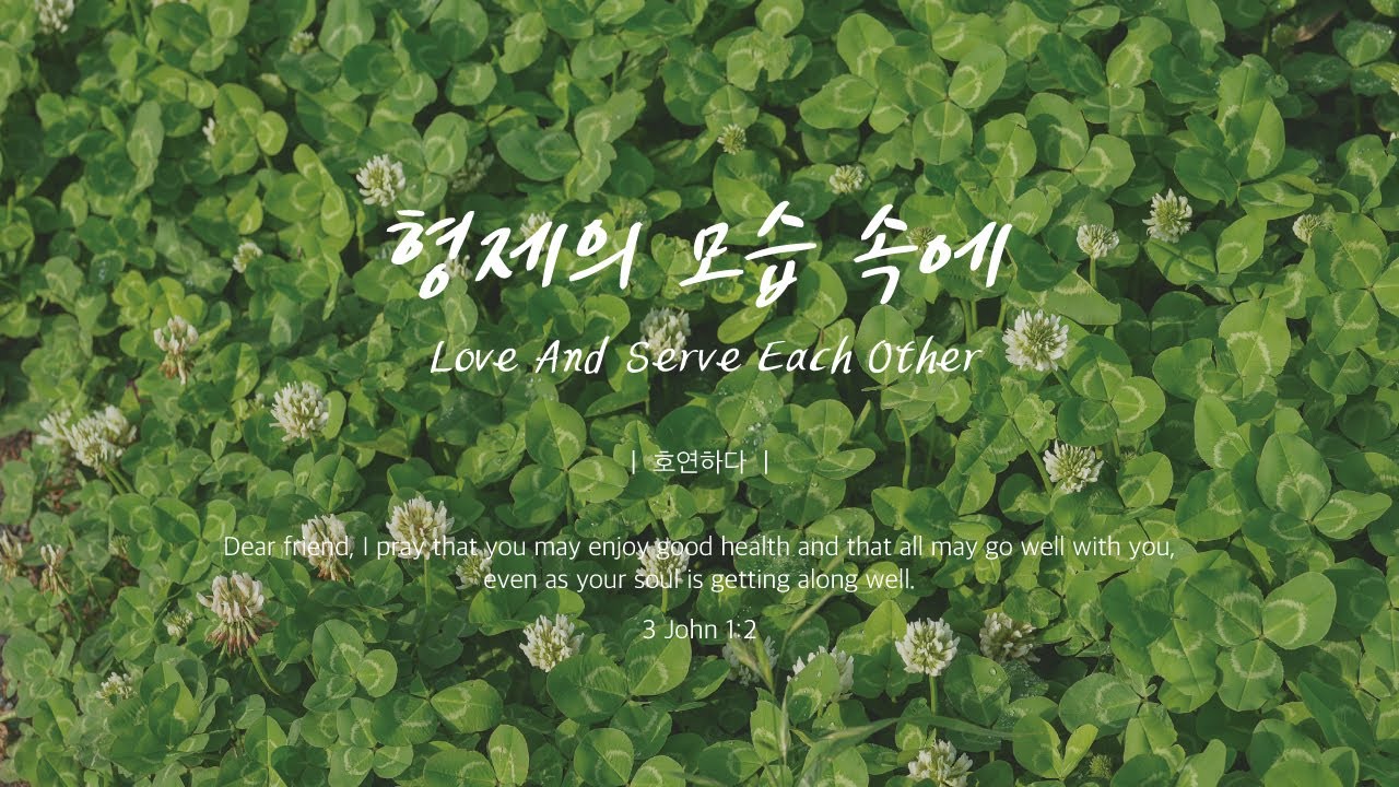 형제의 모습 속에ㅣLove And Serve Each Otherㅣ호연하다