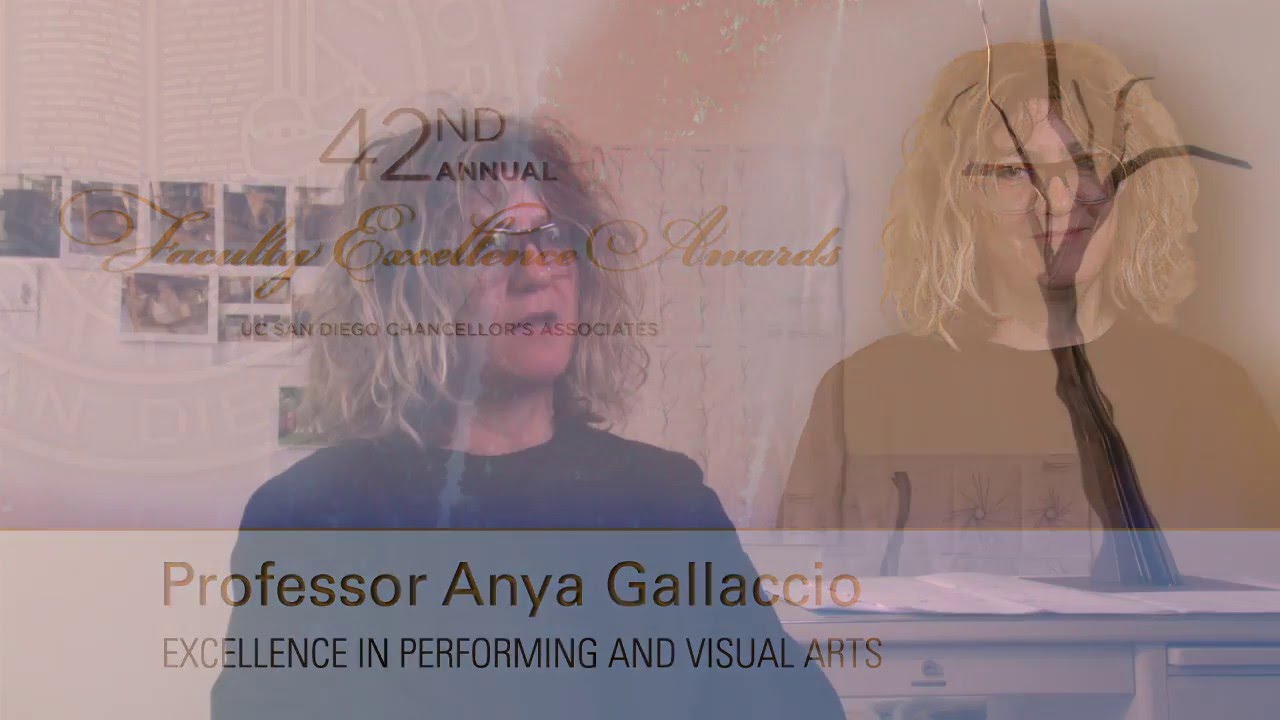 2016 Chancellor’s Associates Faculty Excellence Awards: Anya Gallaccio
