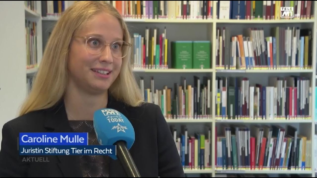Tele M1 Aktuell vom 8.7.2022 mit Caroline Mulle
