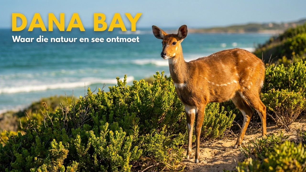 Dana Bay - Garden Route Western Cape South Africa