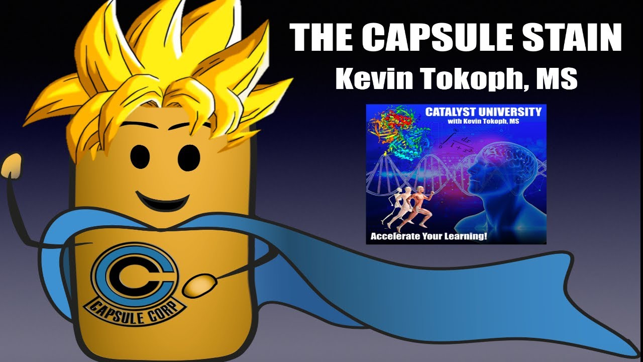 Microbiology Lab | The Capsule Stain