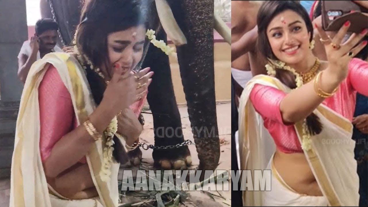 ആനയ്ക്ക് അറിയില്ലല്ലോ ഇവൾ നടി ആണെന്ന്  actress Mokksha viral video  | Aanakkaryam