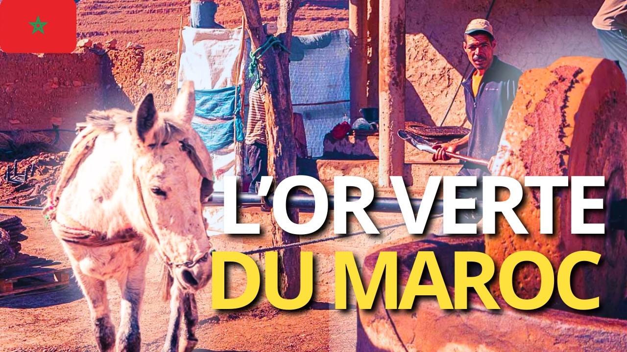 Dans un moulin traditionnel marocain | Le temps de l’huile d’olive