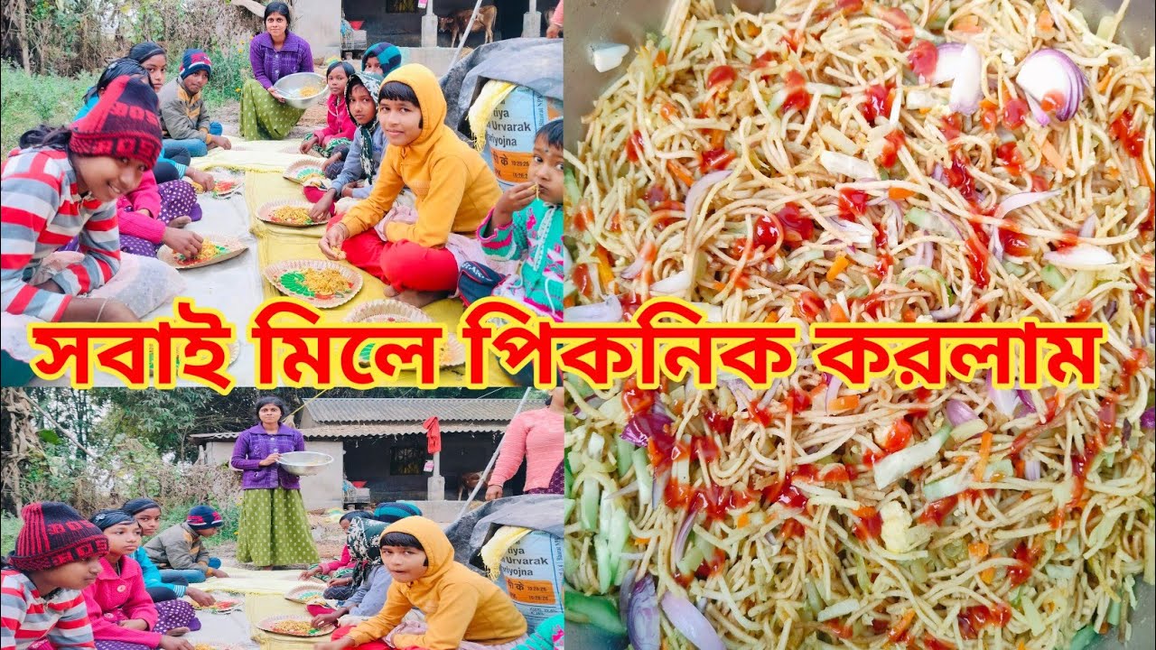 গ্রামে স্টুডেন্টদের চাউমিন পিকনিক | আনন্দে ভরা একদিন