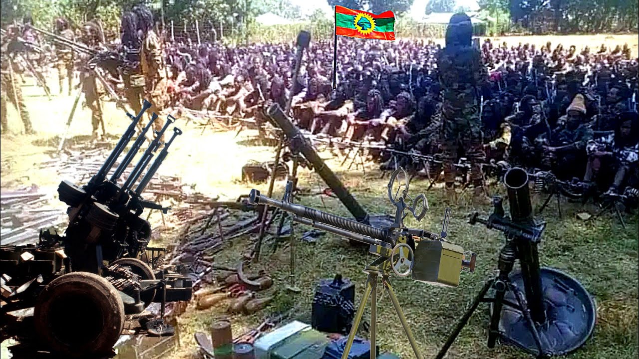 ODUU Hatattama Nov 29/2025 Injifannoo WBO Arsii Lixaa Aanaa Arsii Nageellee @MilkeysaMedia 