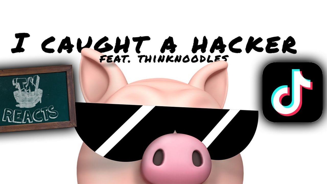 SOMEONE MADE A SONG FROM MY PIGGY HACKER VIDEO.. | Thinknoodles Reacts