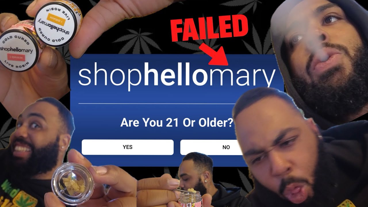 Epic Dab Fail with Shop Hello Mary: Honey Banana 🍌 vs. Hibachi 🔥 Hash Rosin!
