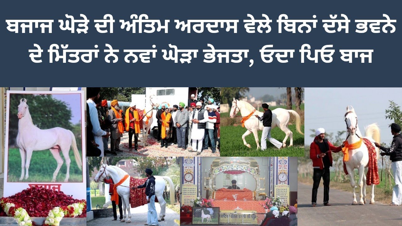 ਬਜਾਜ ਘੋੜੇ ਦੀ ਅੰਤਿਮ ਅਰਦਾਸ ਵੇਲੇ ਬਿਨਾਂ ਦੱਸੇ ਭਵਨੇ ਦੇ ਮਿੱਤਰਾਂ ਨੇ ਨਵਾਂ ਘੋੜਾ ਭੇਜਤਾ,ਓਦਾ ਪਿਓ ਬਜਾਜ