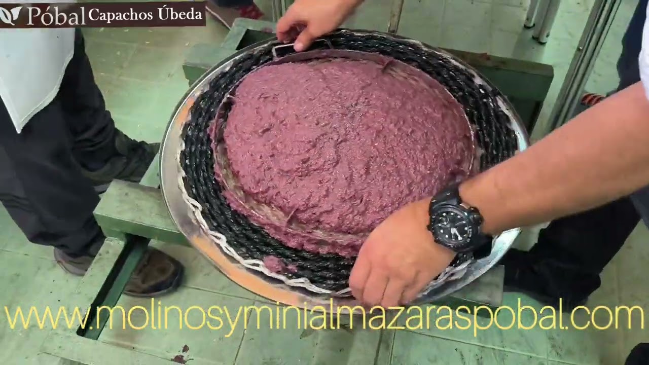 Mini almazaras para hacer aceite de oliva