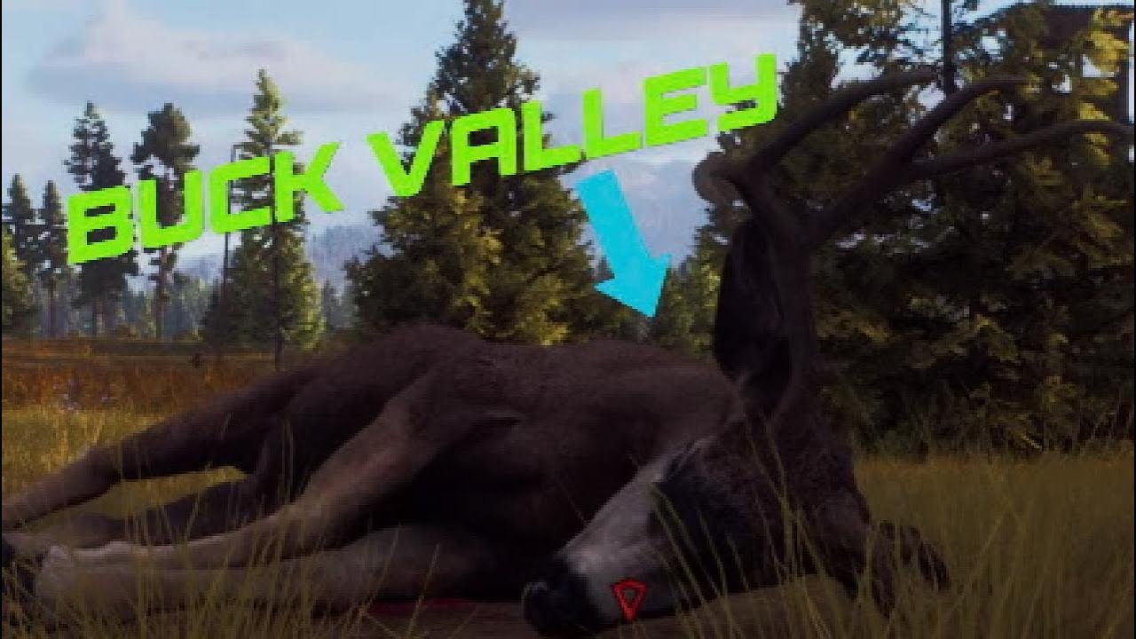 BIG BUCK VALLEY ! - Way of the hunter