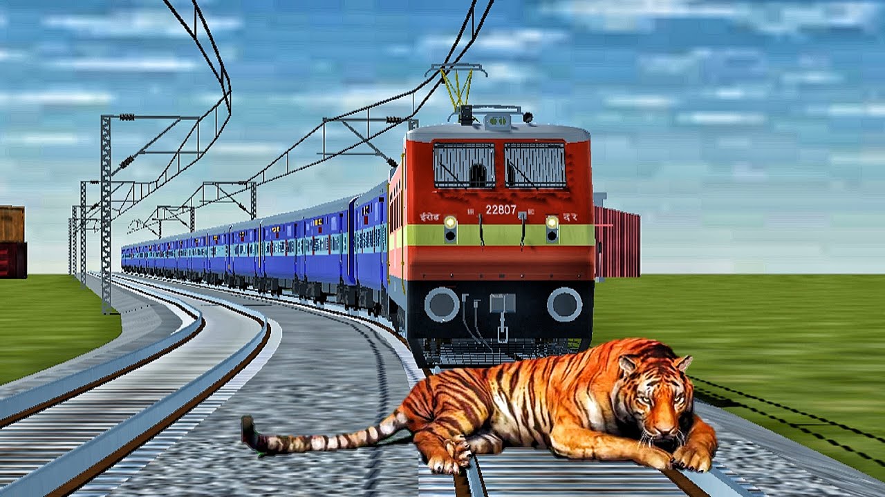 CRAZY TIGER STOPS THE TRAIN BY EMERGENCY BRAKE IN TRAINZIMULATOR