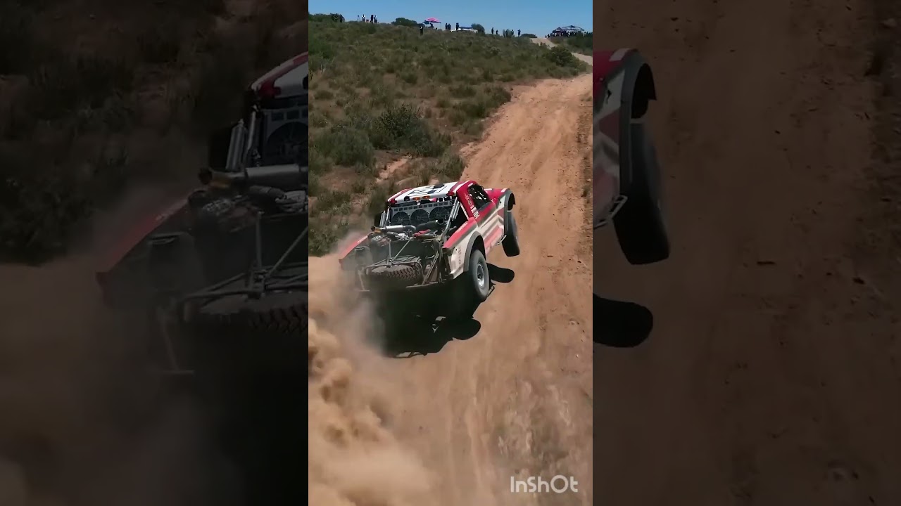 Iron desert horses 