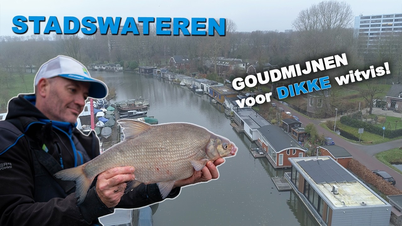 Stadswateren, goudmijnen voor DIKKE witvis!