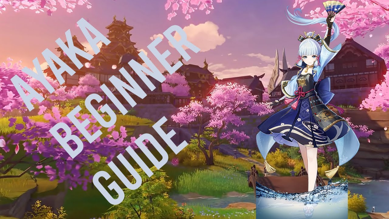 Ayaka Beginner Guide