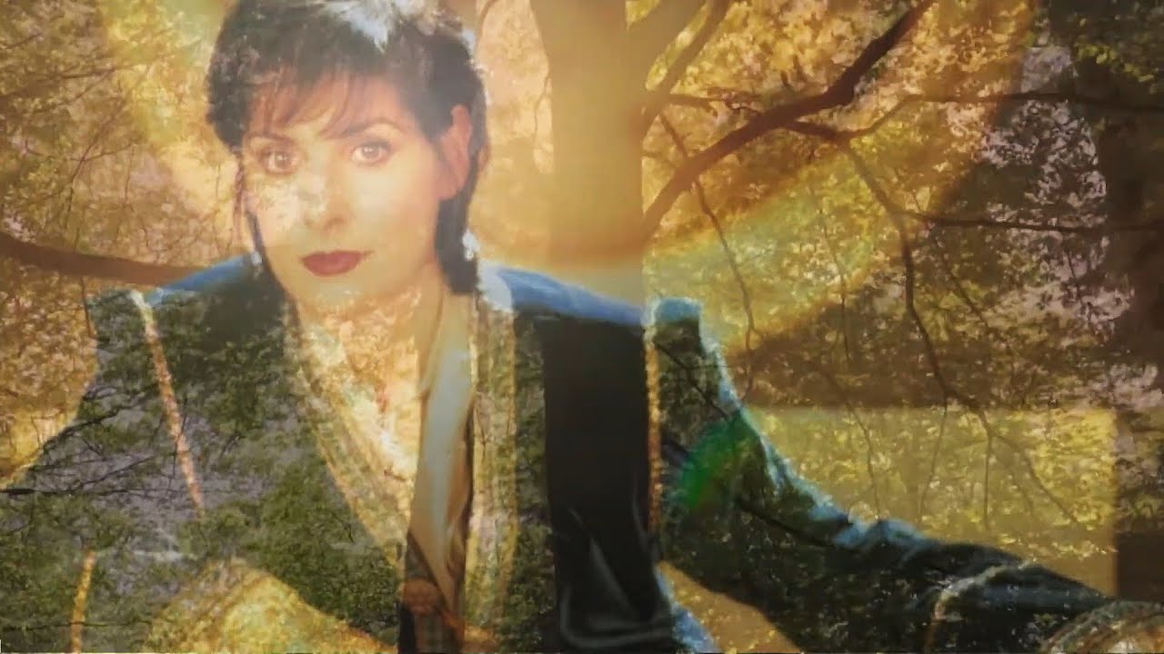 Enya - The Memory of Trees (Vocals only/Acapella)