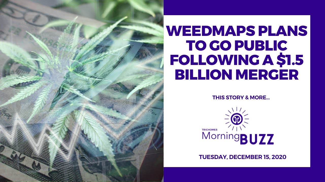 Weedmaps Plans to go Public Following a $1.5 Billion Merger | TRICHOMES Morning Buzz
