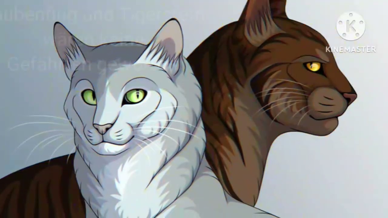 Was wäre wenn... Teil 2 (Rotschweif überlebt hätte?)/Warrior Cat's