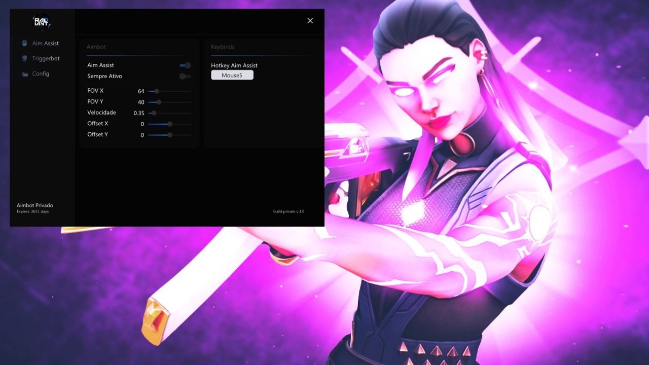 Xitando no VALORANT com AIMBOT PRIVATE! 100% ant-ban