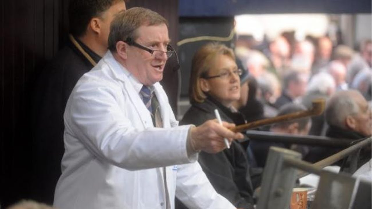 Witness the Mastery of David Thomlinson, the Ultimate Auctioneer