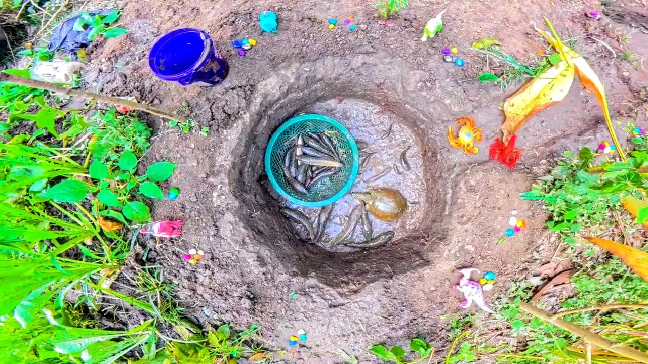 Desi Jugad How To Get Fish Pond Video 🐠