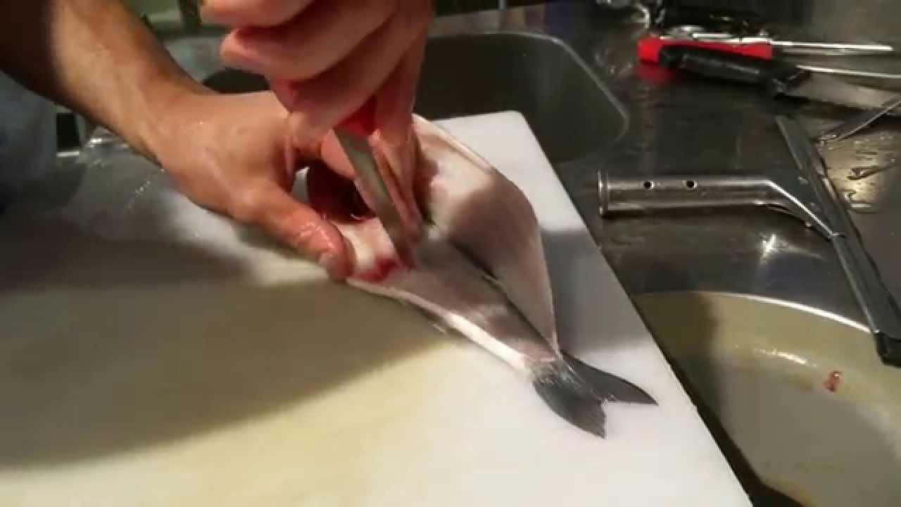 Come aprire un pesce a libro