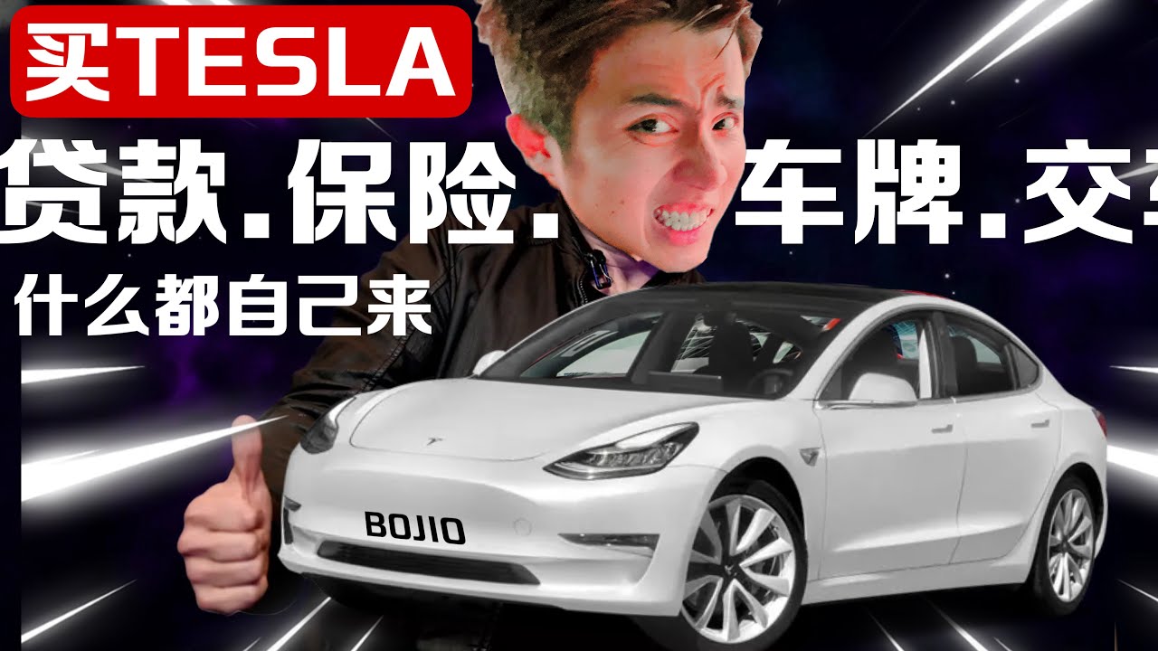 以后买车绝不压价了！【特斯拉日记3】SA最棒了！