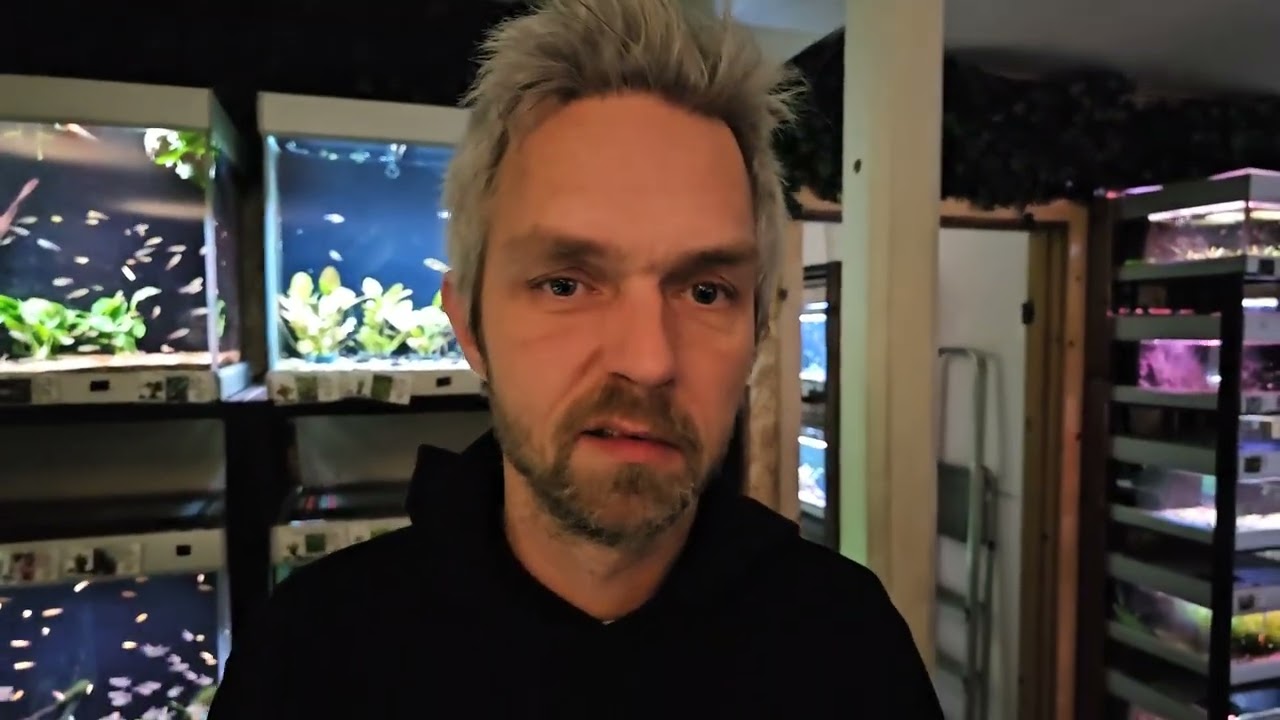 Fredagsfilm - Planter, fisk og julens åbningstider!