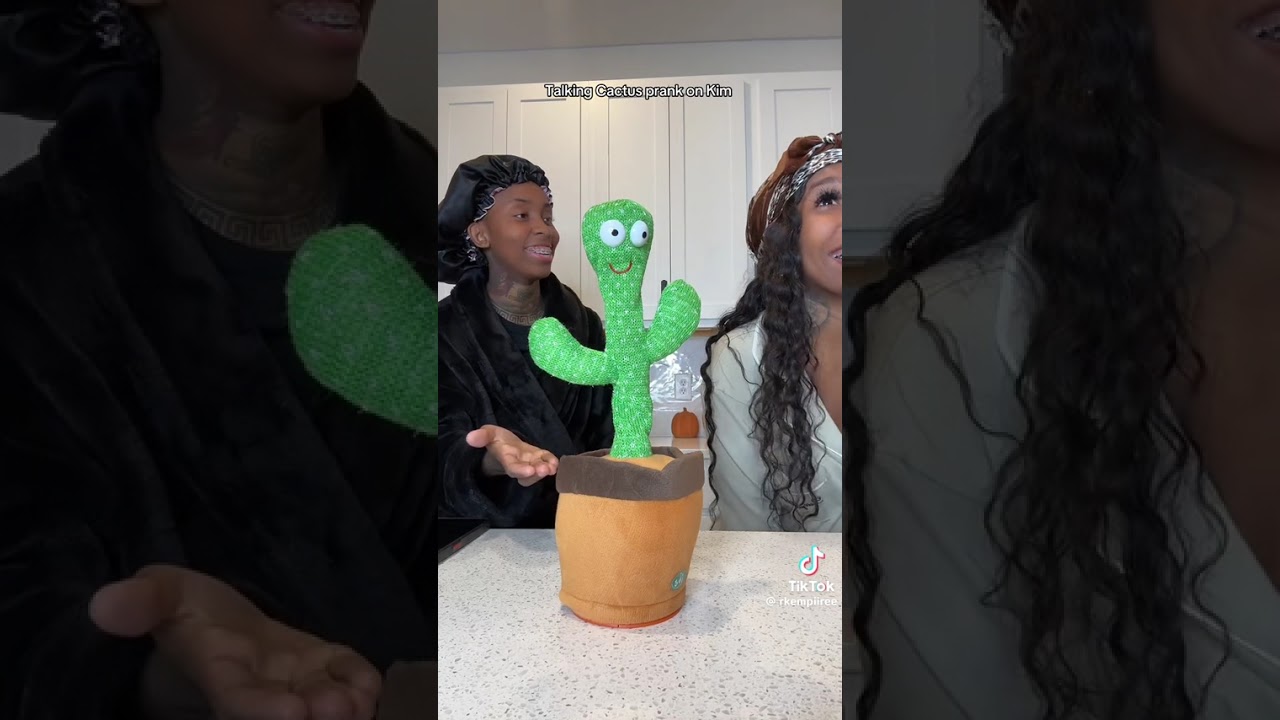 Mocking cactus prank on Kim