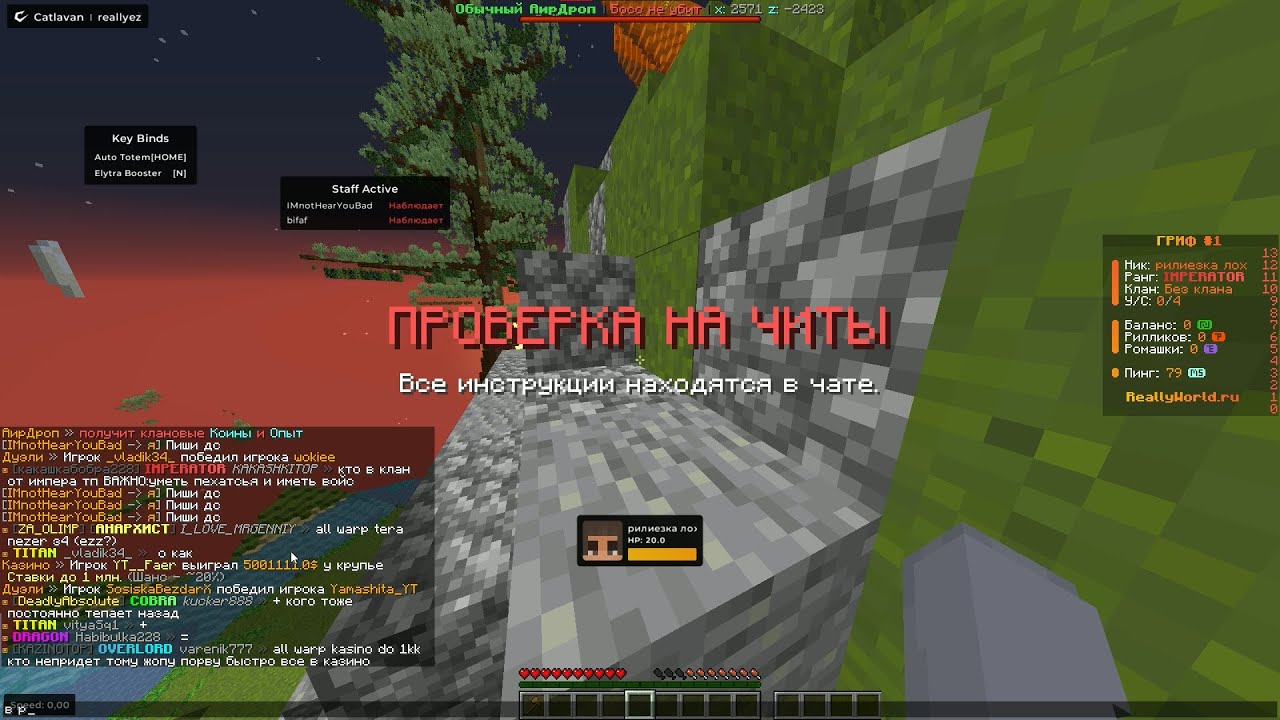 ПРОШЕЛ ПРОВЕРКУ С ЛУЧШИМ ЧИТОМ CATLAVAN REWORK | ГРИФ НА REALLYWORLD ПЕРЕД ВАЙПОМ CATLAVAN REWORK