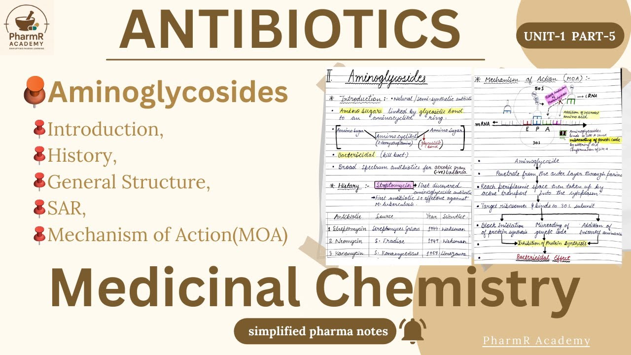 Aminoglycosides || Antibiotics ||  Medicinal Chemistry-3rd || Unit-1,Part-5 || PharmR Academy