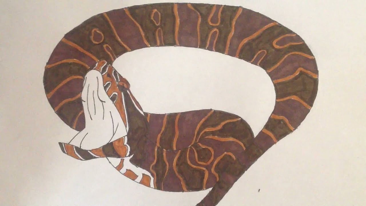 How to draw a Cottonmouth: Easy Tutorial