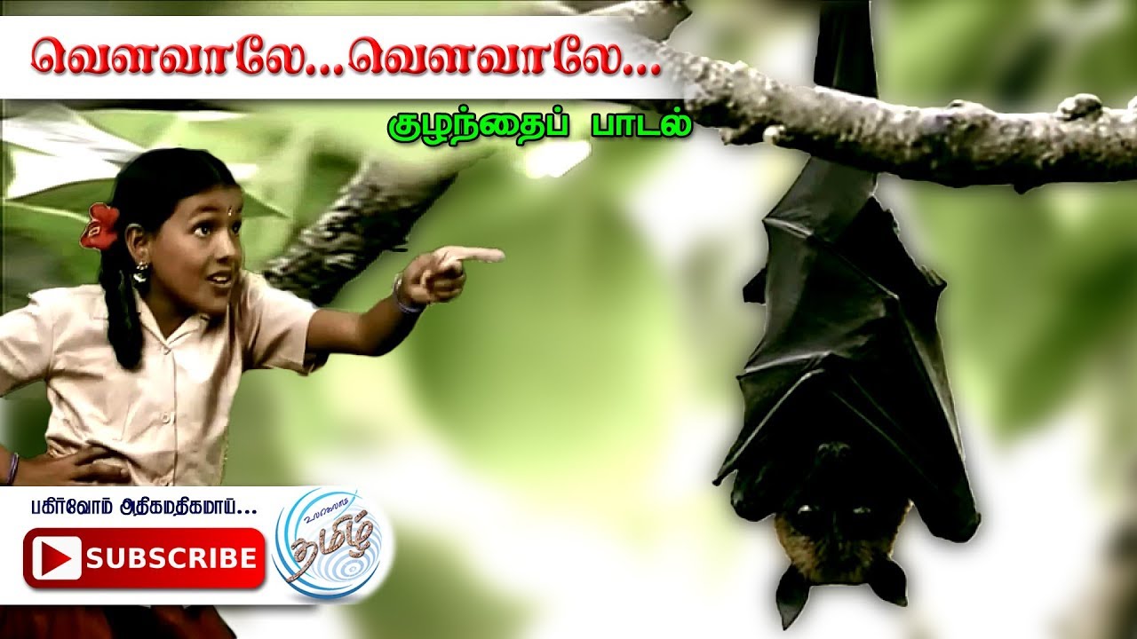 Tamil Rhymes for Children வௌவாலே - தாயெனப்படுவது தமிழ்
